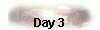  Day 3 