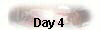  Day 4 