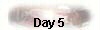  Day 5 