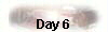  Day 6 