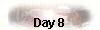  Day 8 