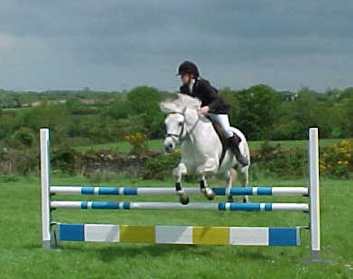 The 52nd Kingdom County Fair,
Ballybeggan Park