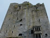 Blarney Castle, Co. Cork