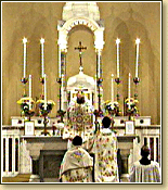 Mass in Limerick