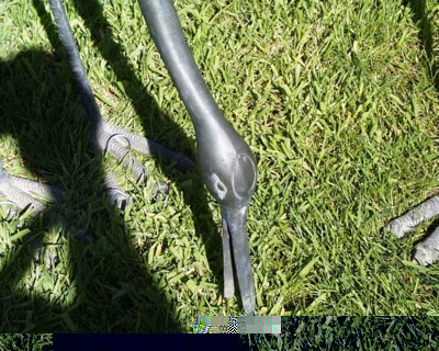 PIC00010.JPG