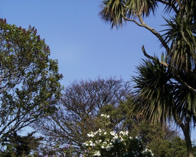 PIC00014.JPG