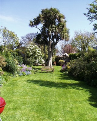 PIC00018.JPG