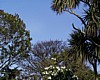 PIC00014.JPG