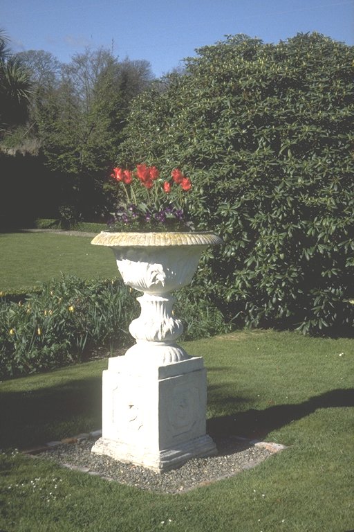 Jardiniere with Tulips