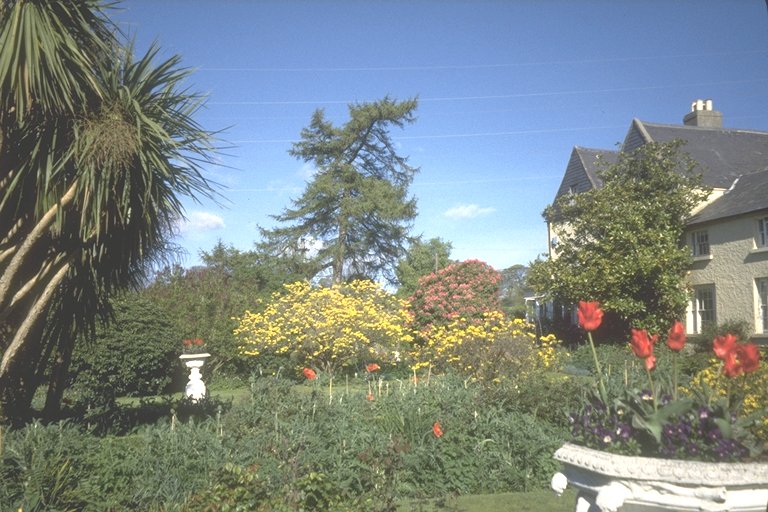 View across Garden