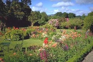 Main garden