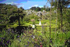 Knot Garden