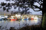 Fishing Fleet at Castletownbere Pier
