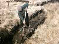 Cutting Turf