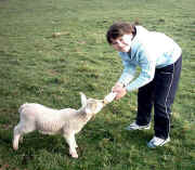 shelley feeding lamb - click to enlarge(66591 bytes)