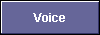  Voice 