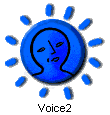  Voice2 