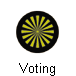  Voting 
