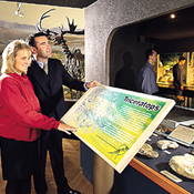 museum 8kb