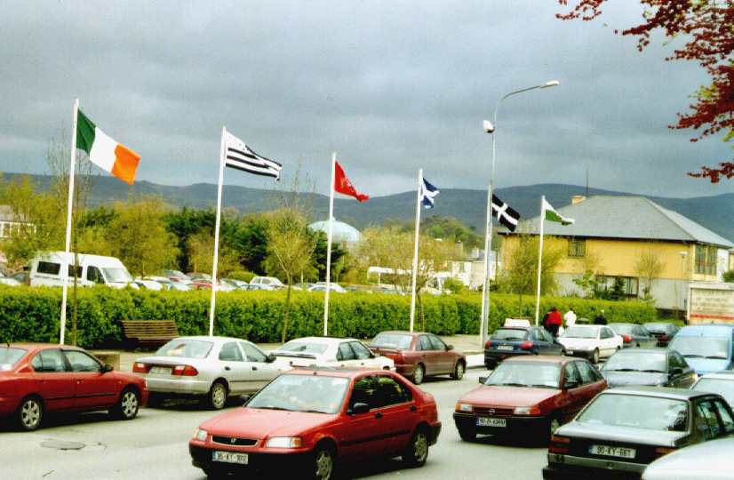 The flags of the participating regions welcoming the participants to the Pan Celtic Festival in Tralee
