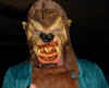 Chewie.JPG (42636 bytes)