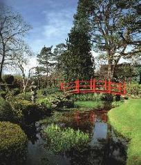 You should take time to visit the Japanese Gardens, in Co. Kildare.