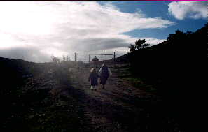 Here we see children out for a fresh Autumn walk in the hills at Bunnagippaun, to the rear of the Waterfront House